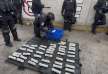 59 homemade explosives seized during passenger transport inspection on the Mexico-Cuernavaca highway