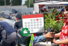 Durango will have a ‘Megarecycling event’ with a tree exchange; when and at what time?