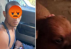 Animal cruelty! Man arrested for killing, cooking, and eating a Chihuahua puppy