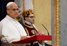 Pope Leo XIV hopes to visit Mexico and Peru during upcoming trips in 2027.