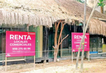 Real estate cartel strangles Tulum; they seek bargain prices