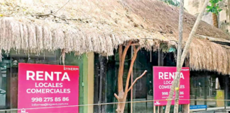 Real estate cartel strangles Tulum; they seek bargain prices