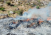 Eight marijuana plantations and three drying facilities destroyed in Ensenada, Baja California