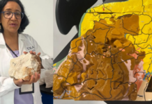 Why does it shake in Yucatán? A specialist from UNAM explains.