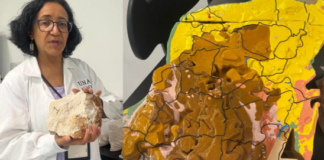 Why does it shake in Yucatán? A specialist from UNAM explains.