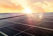 Two mega solar projects cancelled in Yucatán