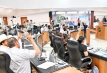 Proposal to create a Specialized Prosecutor’s Office for Crimes against Animals in Baja California Sur