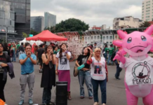 “Mexico: Champion of Disappearances!” — Searchers protest again ahead of Mexico vs. Czechia match.