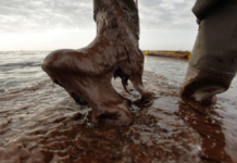 Fishermen in Oaxaca report damages caused by spill at Pemex refinery