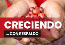 Coffee growers in Chiapas with closer support