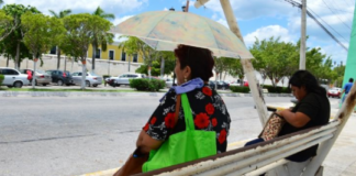 Will it rain less in Campeche? The dog days of summer are about to begin, and here’s how they will affect the state.