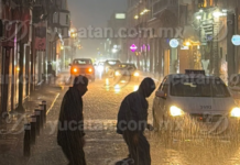 They admit that the suspension of activities in Yucatán was “well-intentioned” but caused uncertainty.