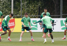 Mexico faces Ecuador for a place in the round of 16 with the Mexico City stadium and the altitude as allies.