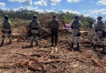 Citizens of Quintana Roo Stand Firm in Defense of the Environment