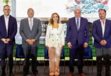 Brussels World Wine Competition: San Miguel de Allende will bring together the best wines in the world