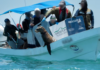 19 Sea Lions Entangled in Fishing Nets Released in Baja California; Profepa Located 9 Females and 10 Males