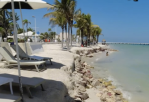 Severe coastal erosion in Yucatán: In search of solutions