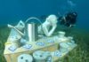 Cancun Underwater Museum: How to visit the incredible underwater museum and how much it costs