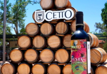 Wine Harvest Festivals in Baja California