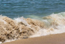 Guerrero, Oaxaca and Michoacán on alert: what is a swell and why is it dangerous?