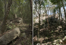 Minanbé, the Mayan city that the Campeche jungle kept intact for centuries