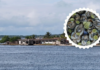 The small town in Tabasco, hidden among mangroves, famous for its oyster production for all of Mexico, will have its festivities in July.