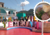 The small town in Chiapas famous for its living indigenous traditions and for its artisanal pox, Tzeltal broth and chipilín tamales