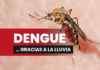 Dengue in Chiapas: July rains raise risk, and health authorities reinforce teams.