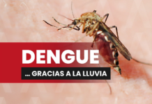 Dengue in Chiapas: July rains raise risk, and health authorities reinforce teams.