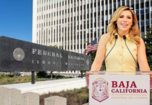 Leaked audio recordings: FBI strategy against Marina del Pilar Ávila