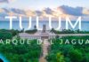 THE BERMUDA TRIANGLE OF QUINTANA ROO: MAYAN TRAIN, JAGUAR PARK AND AIRPORT