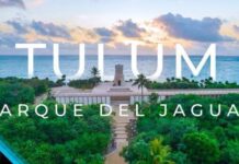 THE BERMUDA TRIANGLE OF QUINTANA ROO: MAYAN TRAIN, JAGUAR PARK AND AIRPORT