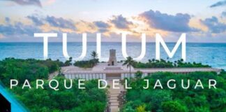 THE BERMUDA TRIANGLE OF QUINTANA ROO: MAYAN TRAIN, JAGUAR PARK AND AIRPORT
