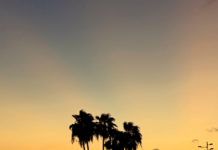 Saharan Dust to Reach Tamaulipas: What You Need to Know About the Phenomenon