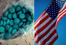 Internal war within the Sinaloa Cartel does not stop fentanyl shipments to the US, report reveals; “the violence has transformed”