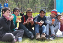 When will the Mushroom Fair in Cuajimoloyas, Oaxaca, take place?