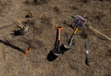 Five clandestine graves found in San José del Cabo, Baja California Sur