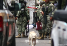 Veracruz records 435 homicides in six months; an average of 2.4 crimes per day