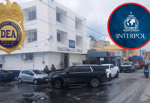 Interpol arrests drug trafficker in Campeche; the DEA set this trap for him