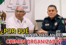 WHY DO THEY NEVER TALK ABOUT ORGANIZED CRIME?