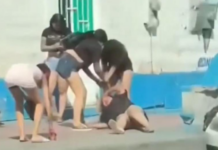 Brawls on the rise in Baja California Sur; authorities urge public to report incidents.