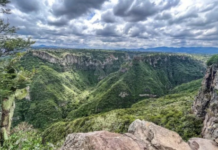 The Huasteca region of Hidalgo is promoting tourism and agribusiness with strategic projects leading up to 2040.