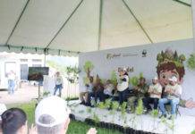 They will restore 20 hectares of the Sierra de San Juan Biosphere Reserve in Nayarit