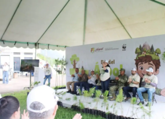 They will restore 20 hectares of the Sierra de San Juan Biosphere Reserve in Nayarit