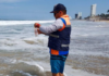 The 22 monitored beaches in Sinaloa are suitable for swimmers: Coepriss