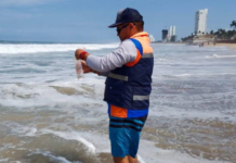 The 22 monitored beaches in Sinaloa are suitable for swimmers: Coepriss