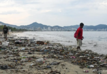 Puerto Vallarta, Puerto Escondido, and Tijuana among the 5 beaches that failed Cofepris testing.