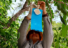 State plan in Yucatán questioned: monitoring seen as a waste of time and money.
