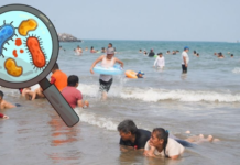 These are the 2 beaches in Veracruz where you should not swim this summer of 2026 due to pollution.