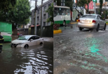 Heavy rains paralyze southern Mexico City: flooding, fallen trees, and severe traffic disruptions